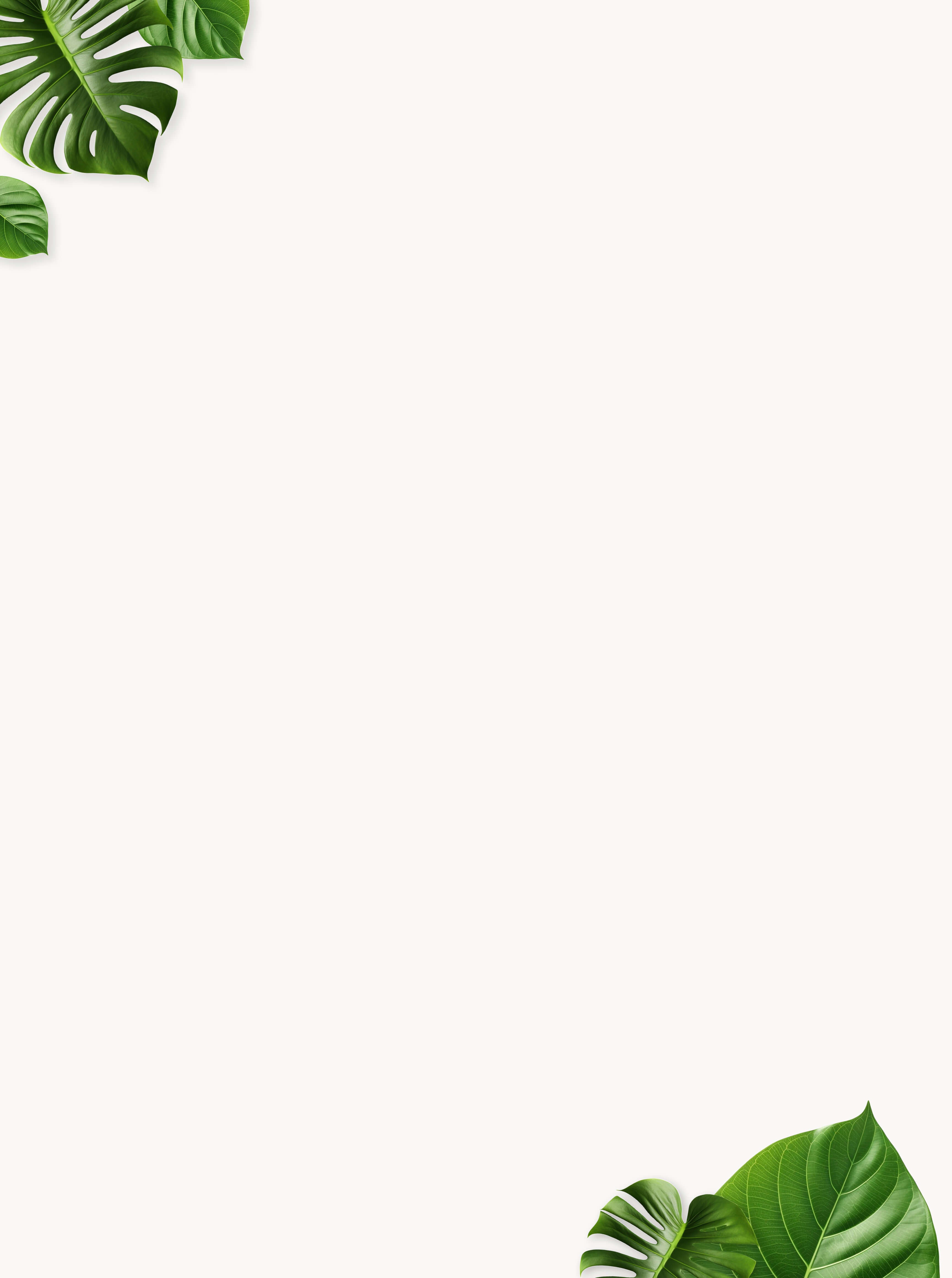 Illustration of a light background with green tropical leaves in the top left and bottom right corners. The composition leaves ample blank space in the center.