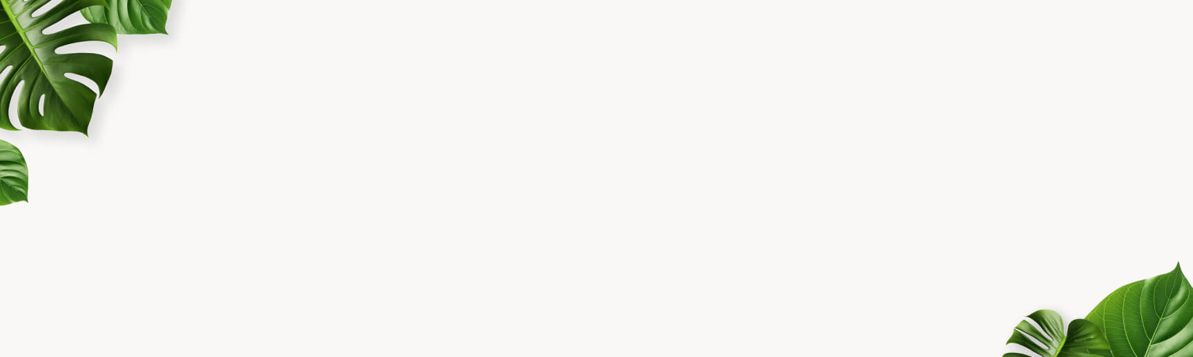 A white background with green monstera leaves in the top left and bottom right corners, creating a simple, natural frame.