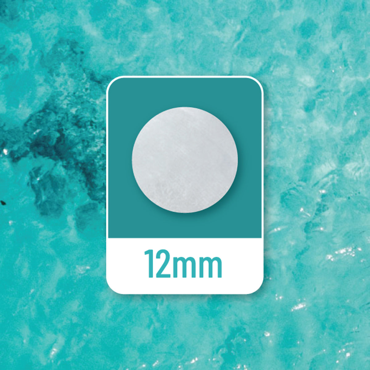 BioGo Disc Amnion + Chorion Membranes for Ocular Surface (12mm)