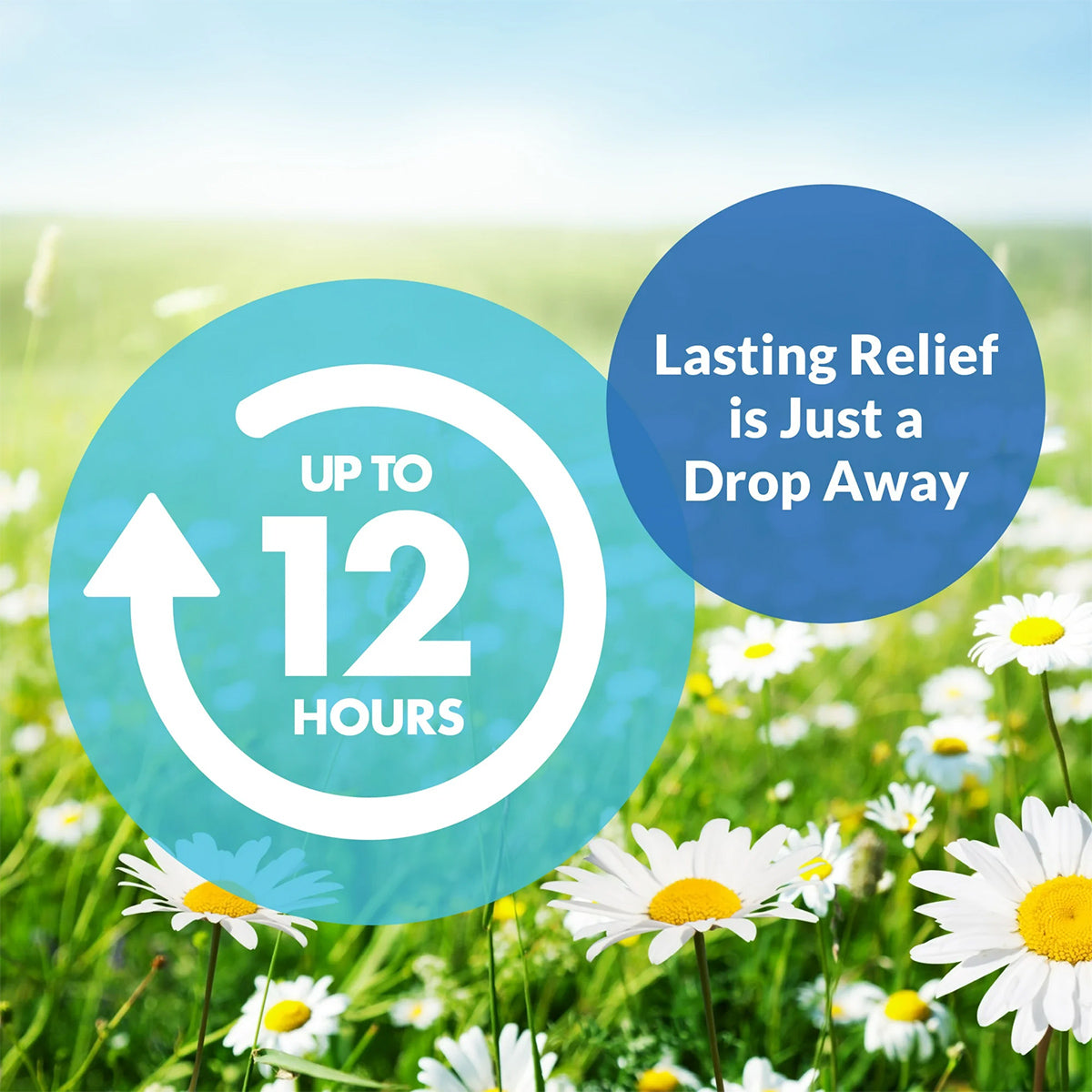 In a sunny field with daisies and a blurred horizon, a circular graphic promises Up to 12 hours while a blue circle assures Lasting Relief is Just a Drop Away. Experience soothing comfort with Bausch + Lombs Alaway Antihistamine Allergy Eye Drops 10mL for effective itchy eyes relief.