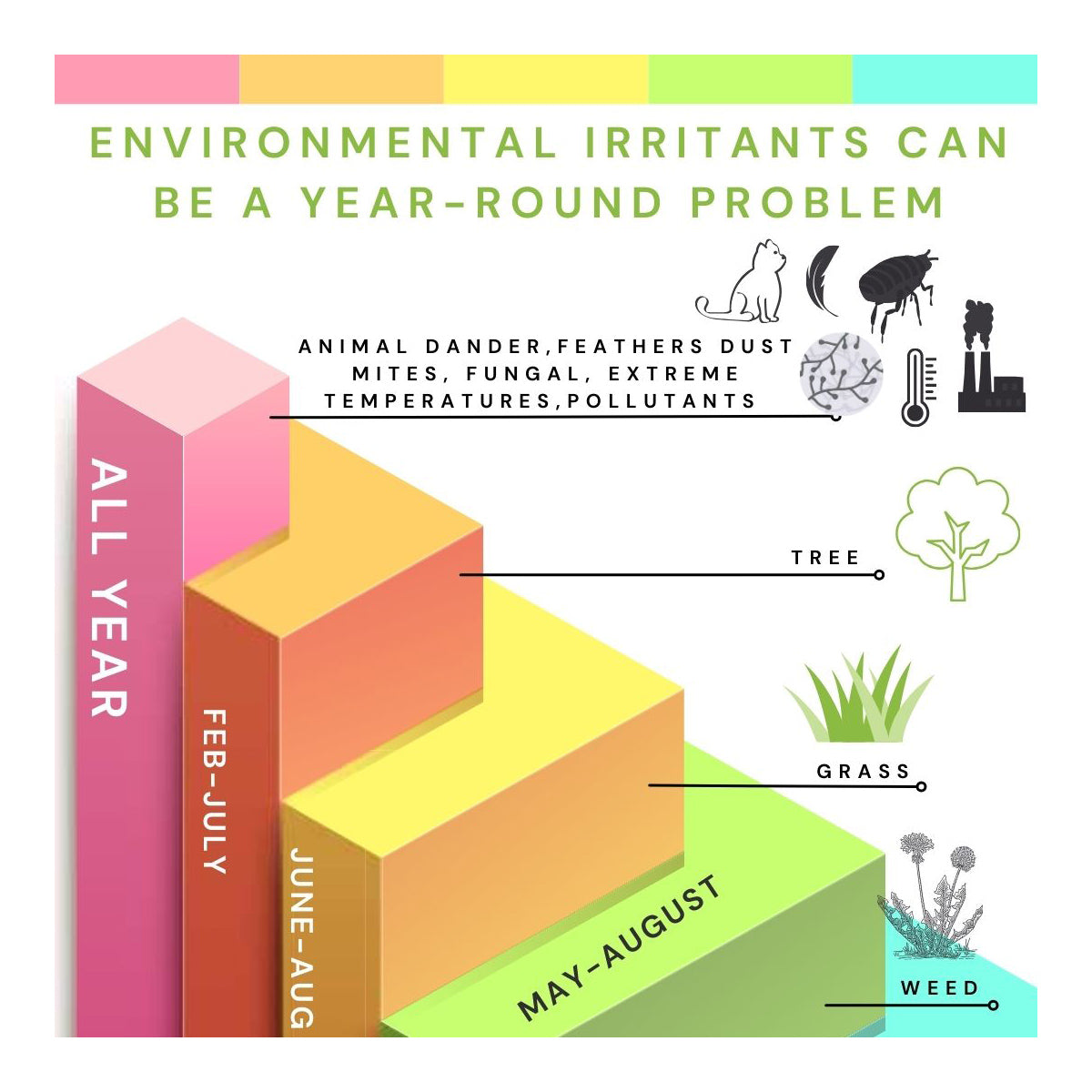Infographic: Seasonal environmental irritants with All Year, Feb-July, June-Aug, and May-Aug charts. Trees, grass, and weeds icons highlight dander, dust mites & pollutants. Header: Environmental Irritants Can Be a Year-Round Problem. Consider Optase Allegro Eye Drops for relief.