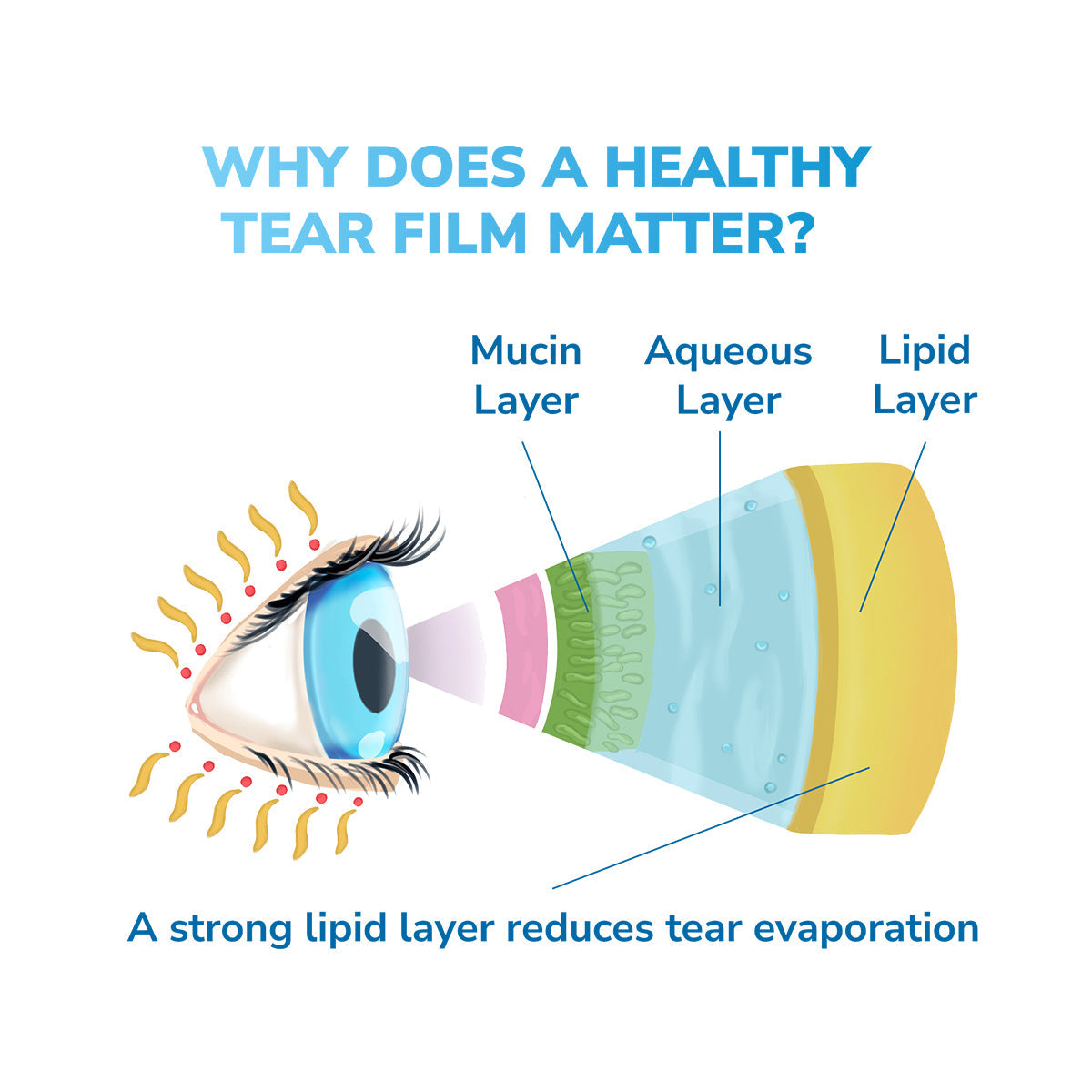 Diagram of an eye shows three tear film layers: mucin, aqueous, and lipid. Text explains the importance of a healthy tear film and mentions that using the Optase - Moist Heat Dry Eye Mask, Microwavable can enhance the lipid layer to relieve dry eyes by reducing tear evaporation.