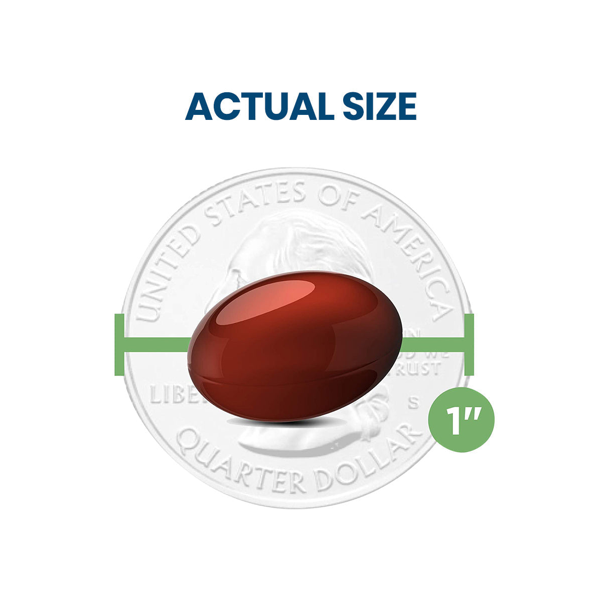 A shiny, red, oval Ocuvite softgel by Bausch + Lomb is shown next to a U.S. quarter for size reference, illustrating its importance for eye health. A green arrow labeled 1 indicates its approximate length, with the text ACTUAL SIZE. Consider Ocuvite supplements for essential eye vitamins and minerals.