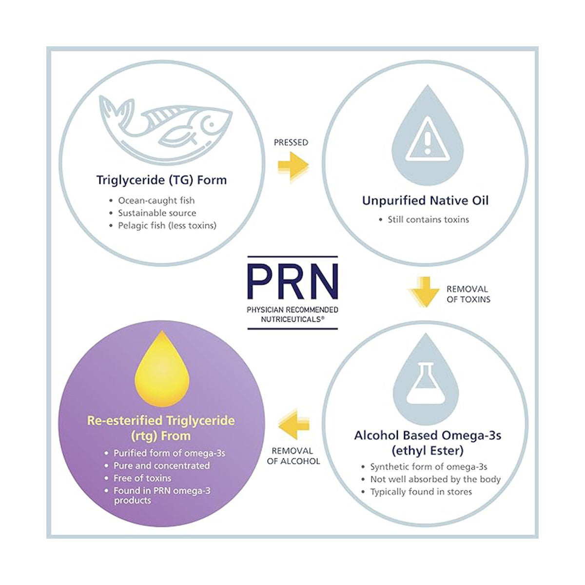 Flowchart of fish oil processing: Begin with Triglyceride (TG) Form, transition to Unpurified Native Oil, then to Alcohol Based Omega-3s (ethyl ester) for EPA and DHA, concluding with Re-esterified Triglyceride (rtg) Form for enhanced macular support using PRN numaqula Omega-3 by PRN - Physician Recommended Nutriceuticals.