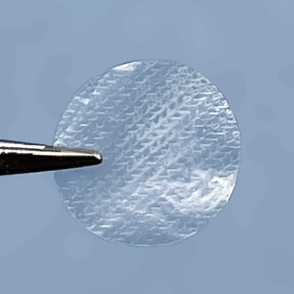 A close-up of the Visulogix Eye Disc Amniotic Dehydrated Membrane, resembling a clear, circular textured thin film held by metallic tweezers against a bluish-gray background.