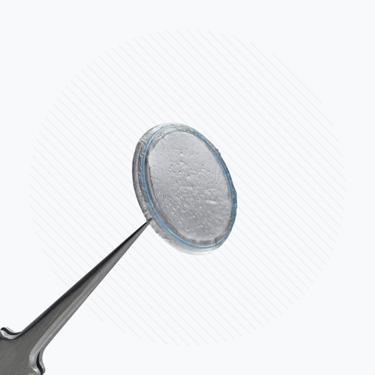 A close-up shows a metallic tool holding a round, translucent Prokera Amniotic Membrane by BioTissue against a softly lined white background.