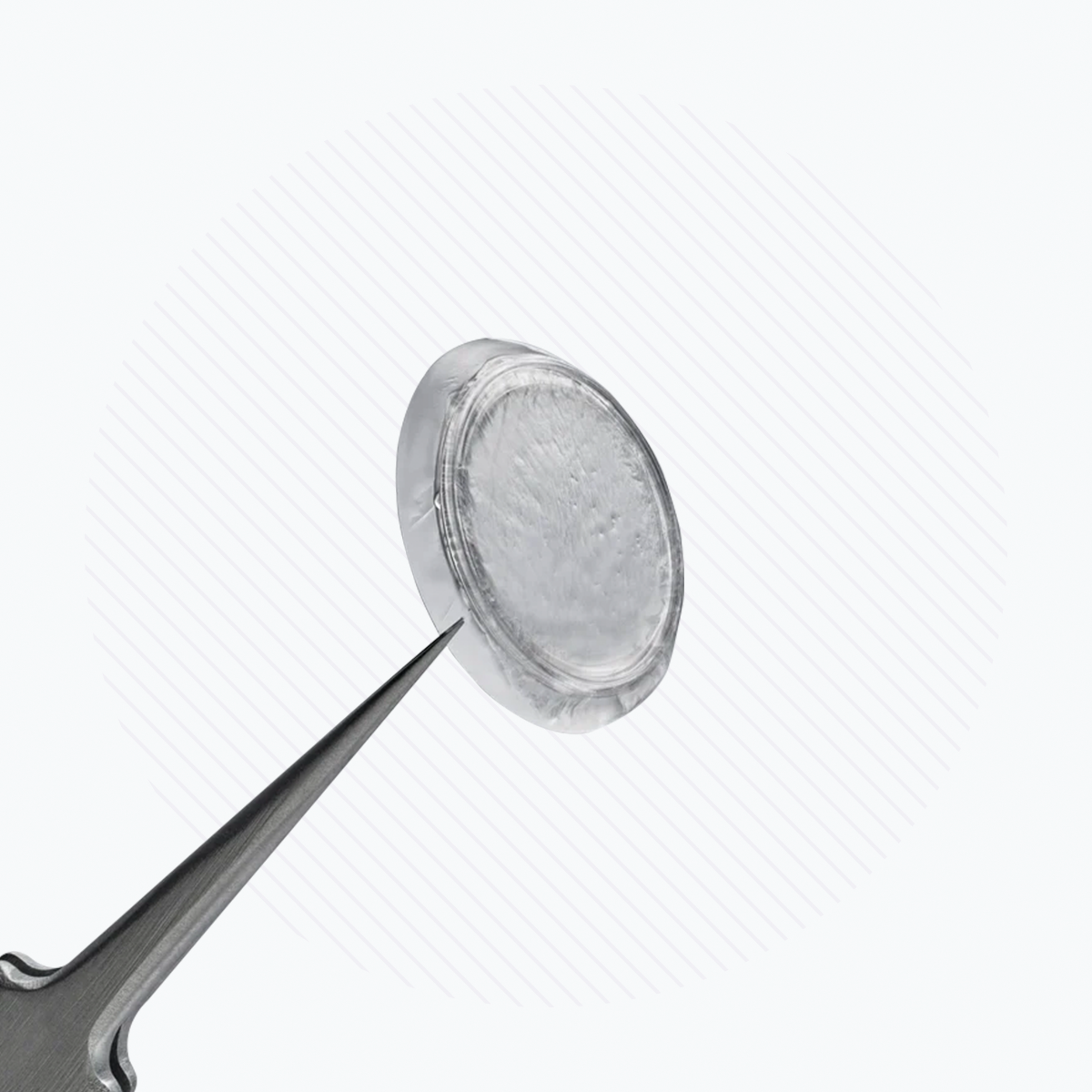 A silver needle gently holds a transparent contact lens labeled Prokera Amniotic Membranes by BioTissue against a white striped background, showcasing its thin structure similar to corneal bandages used in regenerative healing.