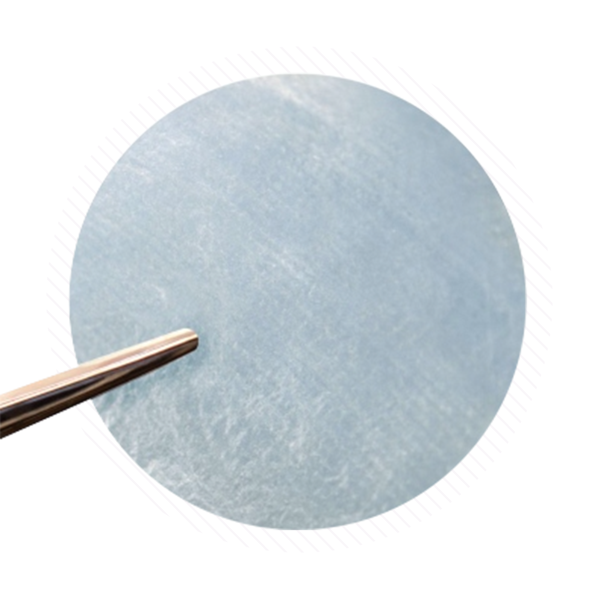 A close-up image shows a light blue AmnioWorks Human Amniotic Membrane (Dehydrated) Bi-Directional from Sanara Medtech, being gently pulled by metal tweezers against a white background, highlighting its soft texture reminiscent of amniotic membrane.