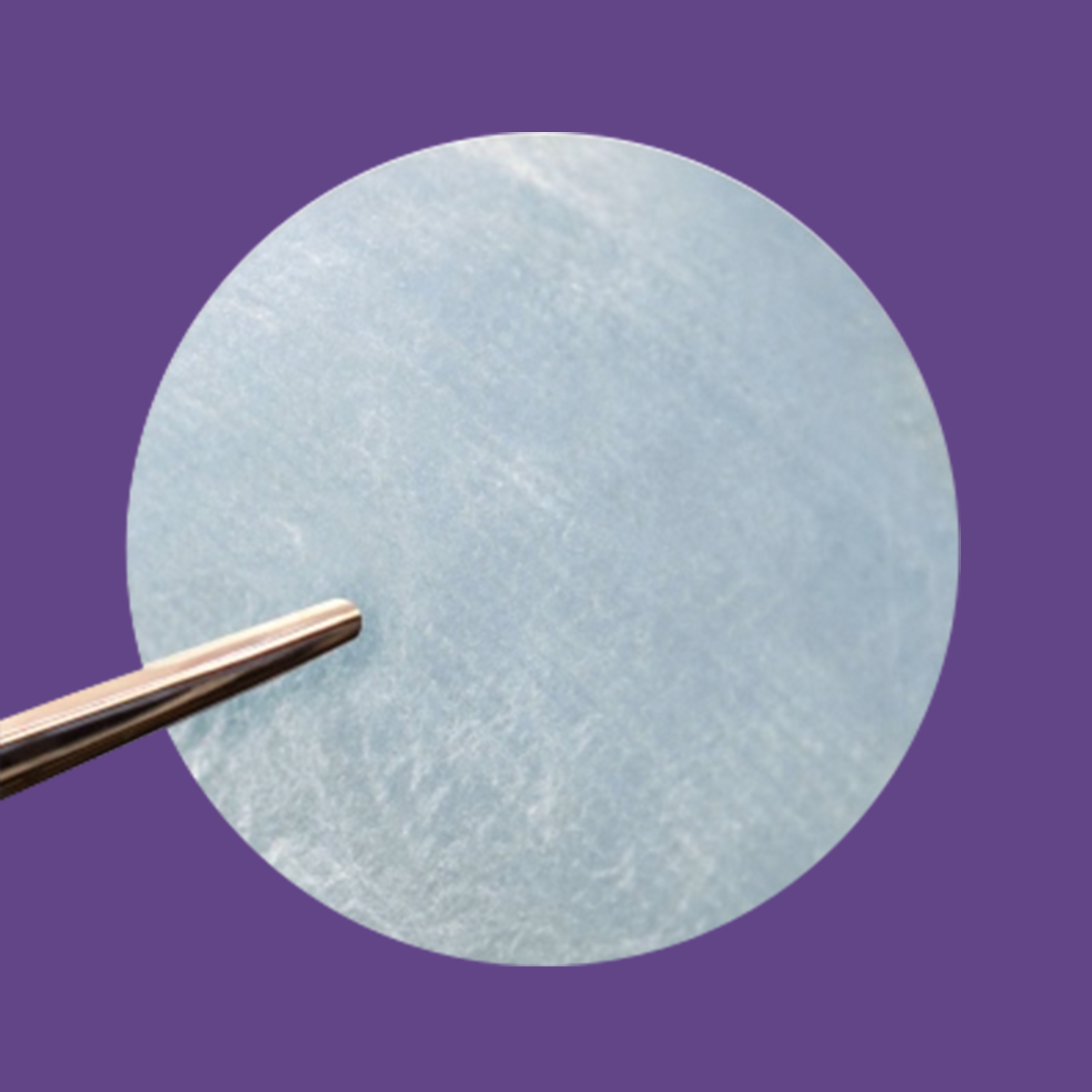 A close-up image shows the AmnioWorks Human Amniotic Membrane, a bi-directional dehydrated product by Sanara Medtech. A metal probe gently touches the light blue textured surface against a solid purple background, emphasizing the intricate details of this delicate membrane.