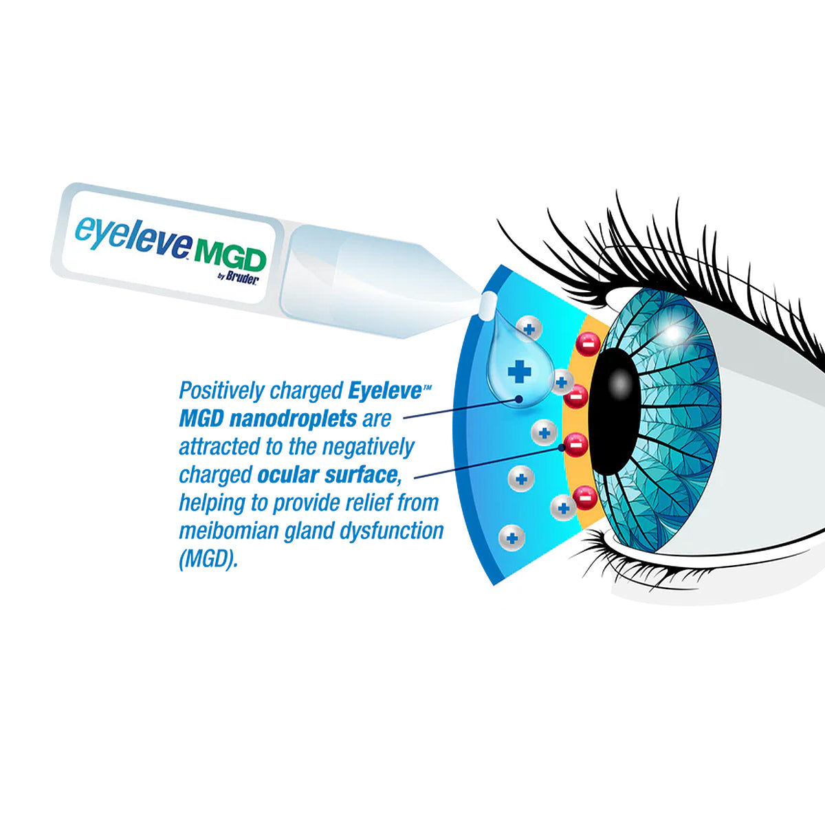 Eyeleve MGD Eye Drops, Preservative Free (30ct)
