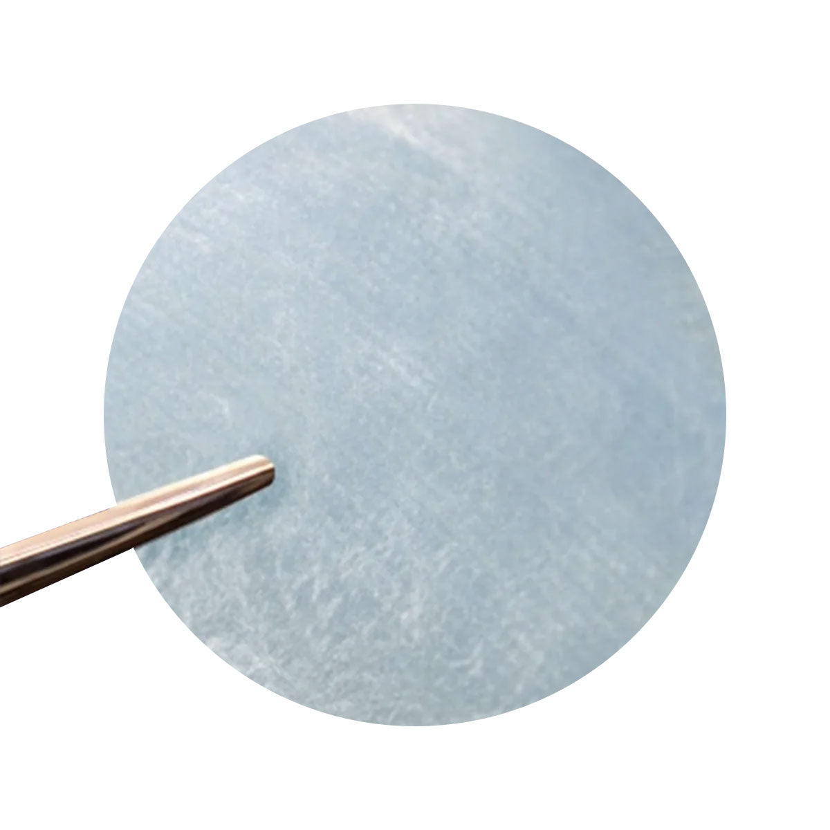AmnioWorks Human Amniotic Membrane (Dehydrated) Bi-Directional