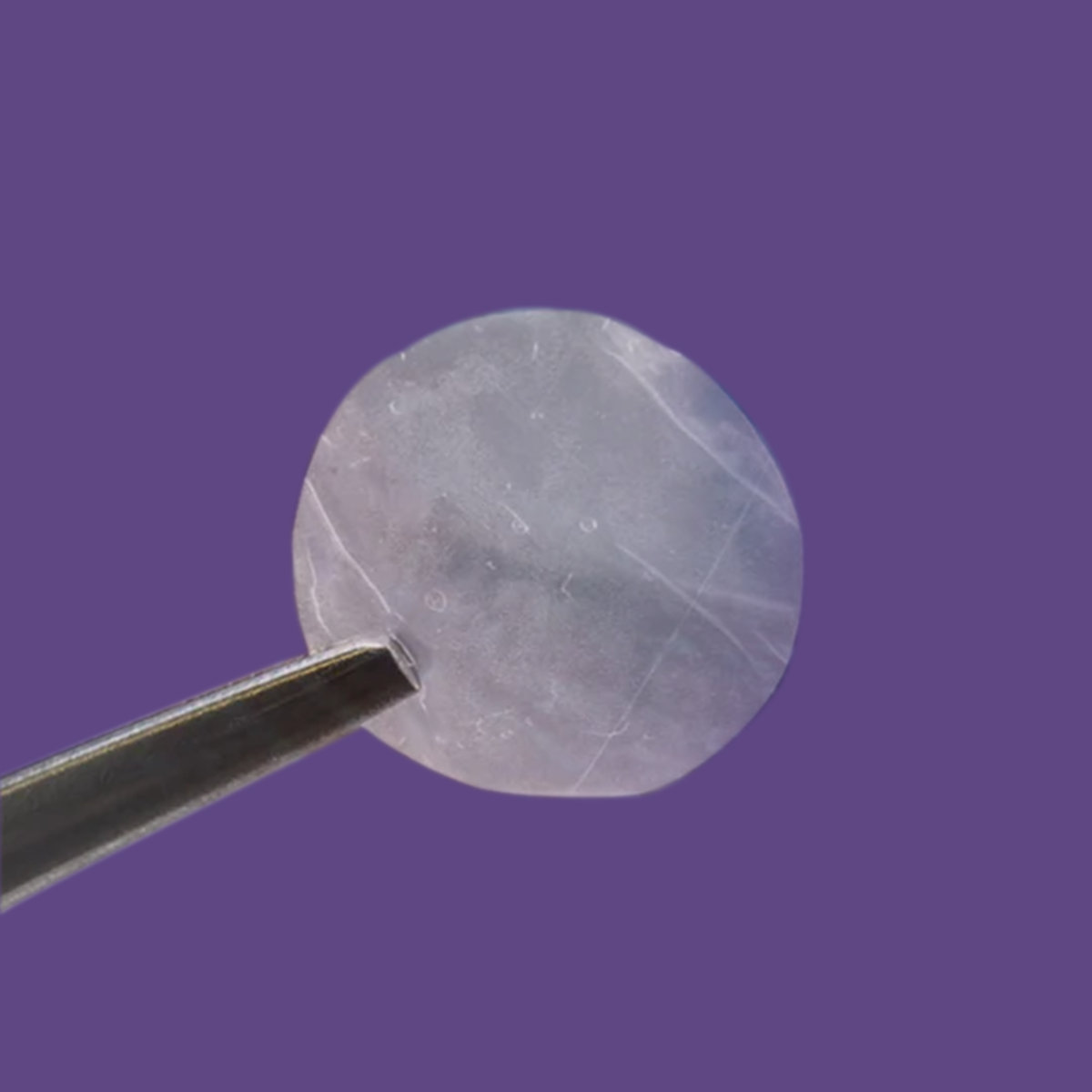 Eclipse Dehydrated Dual Layer Amniotic Membrane by Ophthalogix
